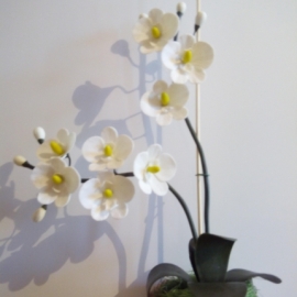 Интерьерная композиция "Орхидея"