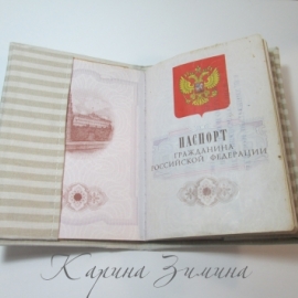 Обложка на паспорт мужская