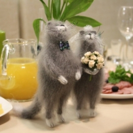 Свадебные коты